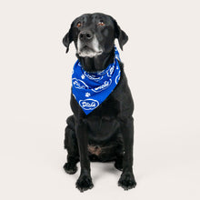 Load image into Gallery viewer, Cloud Pet Bandana