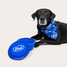 Load image into Gallery viewer, Collapsible Cloud Pet Bowl