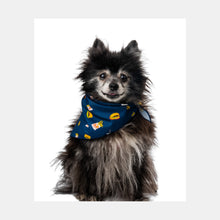 Load image into Gallery viewer, Deluxe Pet Bandana
