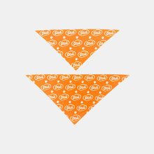 Load image into Gallery viewer, Cloud Pet Bandana