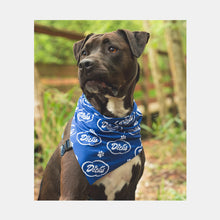 Load image into Gallery viewer, Cloud Pet Bandana