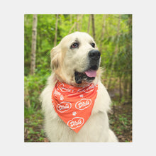 Load image into Gallery viewer, Cloud Pet Bandana