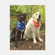 Load image into Gallery viewer, Cloud Pet Bandana