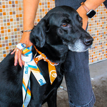 Load image into Gallery viewer, Go, Dog. Go! - Dog Leash