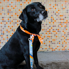 Load image into Gallery viewer, Go, Dog. Go! - Dog Leash