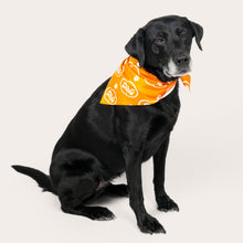 Load image into Gallery viewer, Cloud Pet Bandana