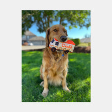 Load image into Gallery viewer, Mini Food Truck Dog Toy
