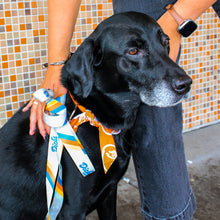 Load image into Gallery viewer, &quot;Go, Dog. Go!&quot; Leash
