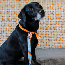 Load image into Gallery viewer, &quot;Go, Dog. Go!&quot; Leash

