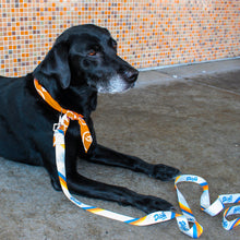 Load image into Gallery viewer, &quot;Go, Dog. Go!&quot; Leash
