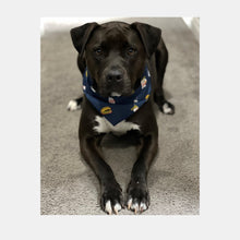 Load image into Gallery viewer, Black dog wearing navy blue pet bandana with all over burger, fry, and milkshake pattern
